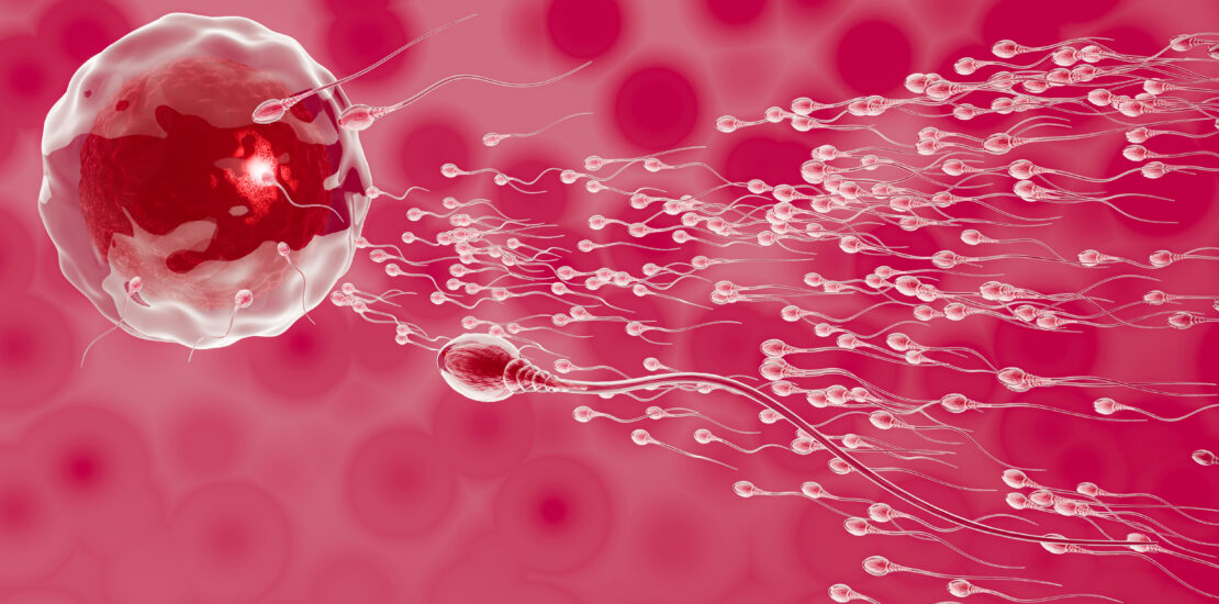 What Is “Sperm Washing” and How Does it Work?