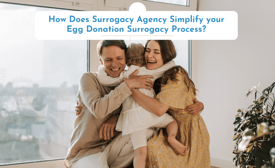 egg donation surrogacy