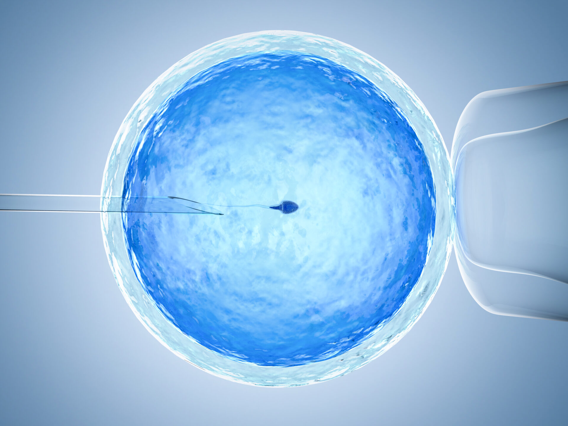 Surrogacy and male fertility: Don’t overlook the man