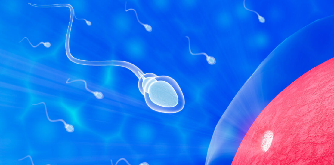The Male Role in Surrogacy: Responsibility, Emotion, and Decision-Making