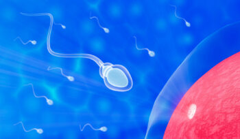 The Male Role in Surrogacy: Responsibility, Emotion, and Decision-Making