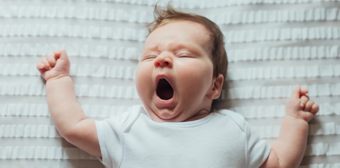 Surrogacy Terminology Every Intended Parent Should Know