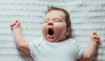 Surrogacy Terminology Every Intended Parent Should Know