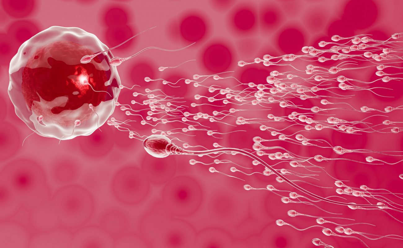 What Is “Sperm Washing” and How Does it Work? 