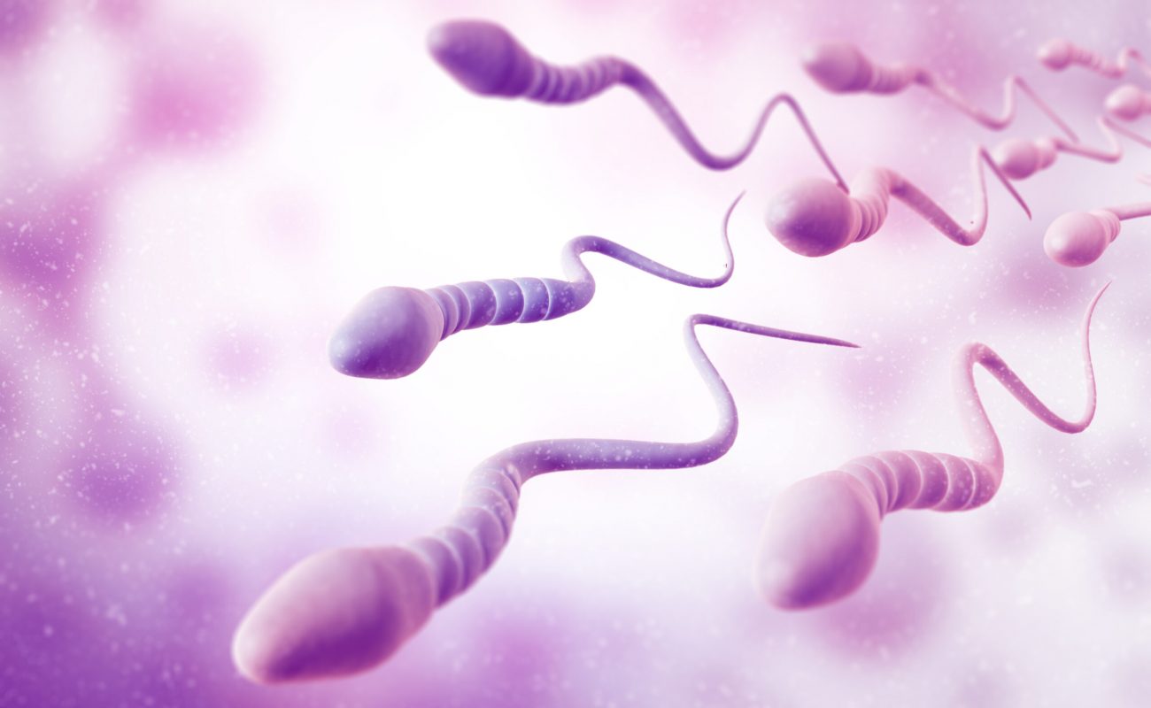 What Do the Results of My Sperm Analysis Mean?