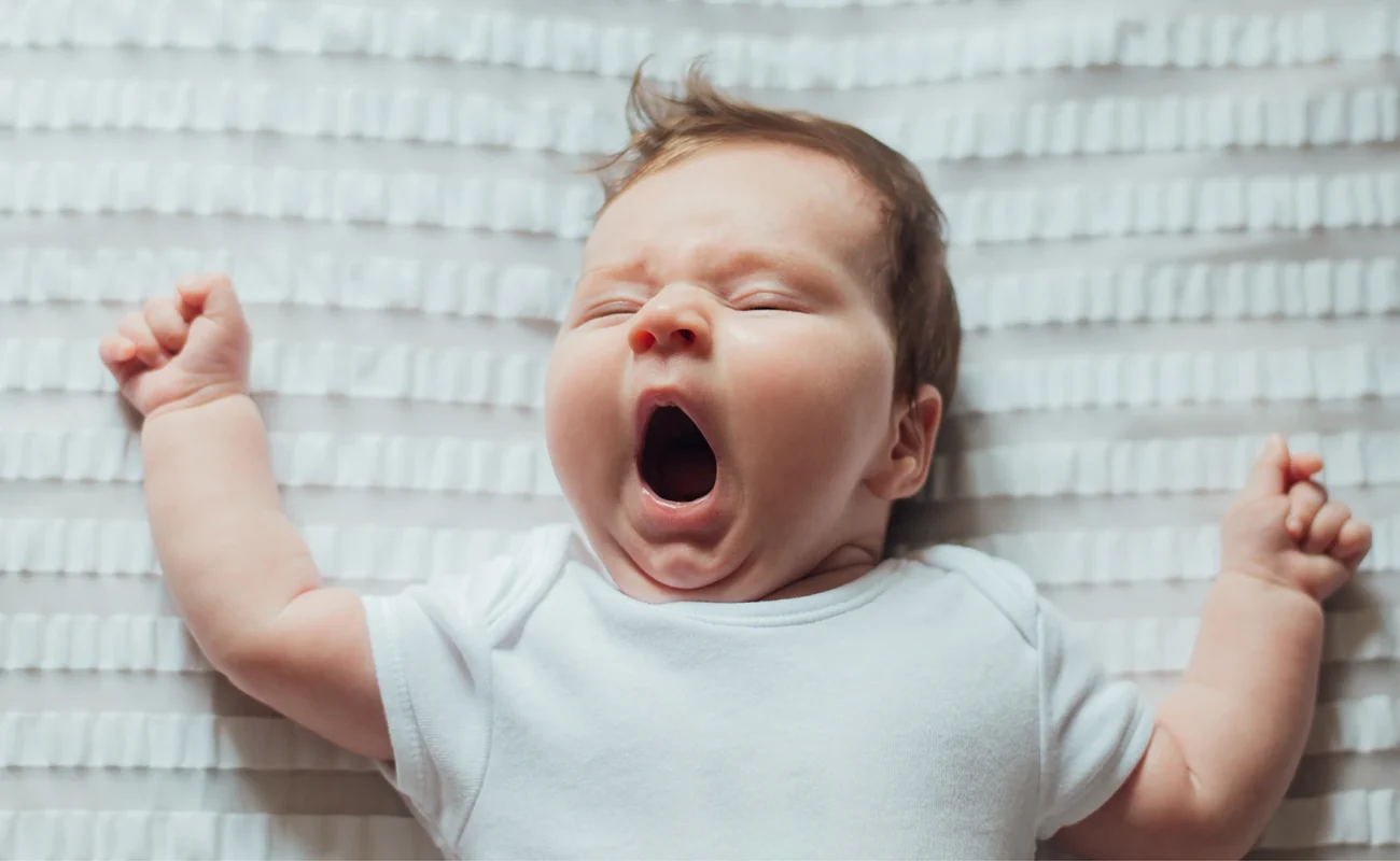 Surrogacy Terminology Every Intended Parent Should Know