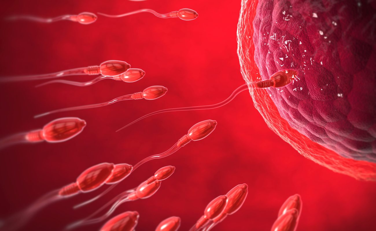 How Do Gay Couples Decide Whose Sperm to Use for Surrogacy?